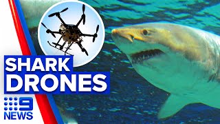 Drones funding to reduce shark attacks risk  9 News Australia [upl. by Sewell]