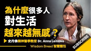 為什麼很多人對生活越來越無感？► 聽聽史丹佛大學精神醫學教授怎麼說  Dr Anna Lembke 安娜·倫伯克博士（中英字幕） [upl. by Alanah]