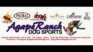 NADAC Agility from Agape Ranch Dog Sports [upl. by Eiveneg]