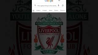 Up the toffees Liverpool stink [upl. by Latvina]