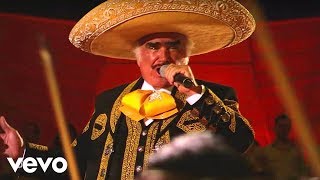 Vicente Fernández  Hermoso Cariño En Vivo [upl. by Imaj612]