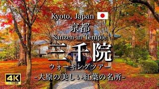 Autumn Leaves at Sanzenin Temple Kyoto  Beautiful Landmarks 4K [upl. by Kauffmann]