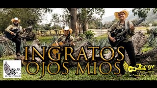 Ingratos Ojos Mios Jorge Jr Y Sus Jefes VIDEO OFICIAL [upl. by Bruell572]