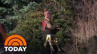 Real ‘Home Alone’ family says Macaulay Culkin really cut their tree [upl. by Elden]