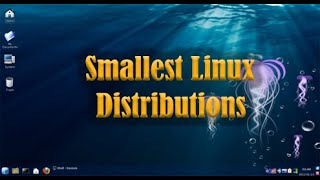 Smallest Linux Distributions [upl. by Weide]