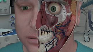 Chapter 2 Nasal Anatomy and Function [upl. by Valsimot]