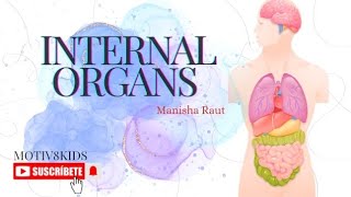 internal organs  human body internal organs science  names of organs of human body [upl. by Bink915]