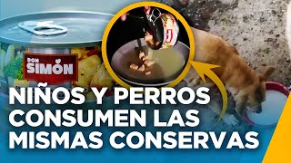 Albergue para perros consume las mismas conservas que distribuye Qali Warma para los niños [upl. by Hellene]