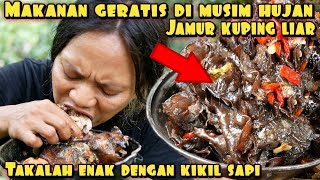 PANEN JAMUR LIAR BERSERAKAN AUTO DI MASAK SAMPE MABOK [upl. by Martyn425]