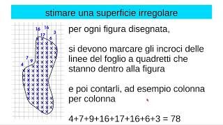 misura superficie irregolare [upl. by Dirk]