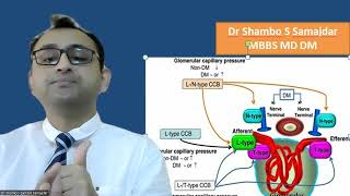 benidipine in brief overview clinical pharmacologists perspective [upl. by Hiltner908]