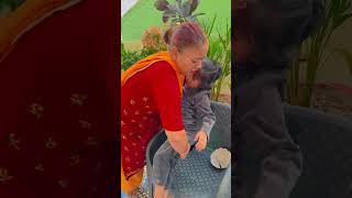 Dil De Diya Hai 🥱🥰 shorts trending ytshorts love maa viralvideo [upl. by Zil]