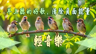 非常好聽 👍👍 世界上最好聽的純音🎵 2小時不間斷 純鋼琴輕音樂  美妙的音樂  轻松的钢琴音乐 放鬆音樂 [upl. by Swamy446]