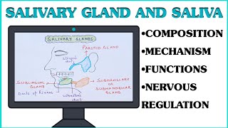 Saliva and Salivary Glands ll Gastrointestinal Physiology ll Composition ll Secretion ll Mechanism [upl. by Intihw]