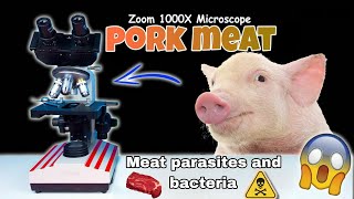 Fresh pork under the microscope😯microscope parasite bactria [upl. by Latsryk492]