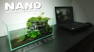 TableTop NANO Aquaterrarium with Cliff Waterfall l No co2 l No filter [upl. by Ennayram945]