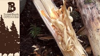 How to Make Feather Sticks Dry Tinder in Wet Weather [upl. by Airekahs]