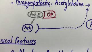 Organophosphate Poisoning [upl. by Nosna]