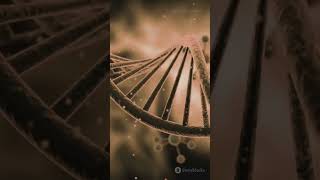 Dna vs Rna science animation [upl. by Dolan]