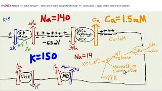 Secret of hypertension that doctors dont know rerun [upl. by Aelber848]