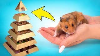 Un divertido laberinto  pirámide de 6 niveles para tu hamster [upl. by Casanova]