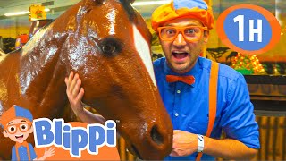 Blippi Explores Jungle Animals  1 HOUR OF BLIPPI  Educational Videos For Kids  Blippi Toys [upl. by Lleksah]