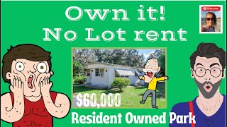 These Mobile Homes For Sale w NO LOT RENT  Zephyrhills Florida [upl. by Koziel]