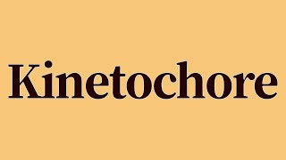 Kinetochore Meaning and Definition [upl. by Ayekehs]