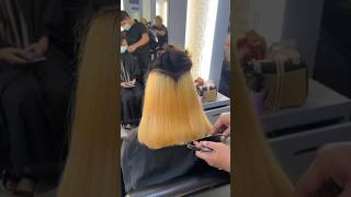 Peekaboo Hair Color Achieved peekaboo undercolor hairstyle hecktorsalon [upl. by Bayer]