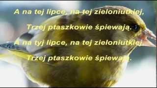 BIESIADAmuzykatekst quotLipkaquot [upl. by Christal]