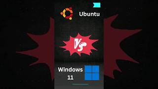 Ubuntu VS Windows 11 linux windows11 [upl. by Frulla449]