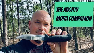 The Mora Companion An Excellent Companion Indeed [upl. by Gonzales]