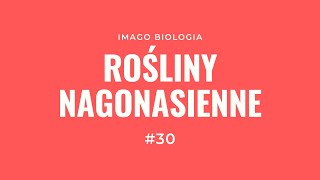 Rośliny nagonasienne [upl. by Belldame991]