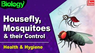 Housefly Mosquito amp their Control  Health and Hygiene  Part II  Biology  Home Revise [upl. by Esinek]