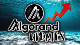 ALGORAND ALGO EXPLODES Algorand ALGO Price Updates amp Analysis [upl. by Samau]