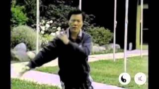 Taoist Tai Chi  Master Moy in Action [upl. by Joli]