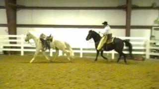 Brent Kelly Heber Valley Performance Horse [upl. by Fabria2]