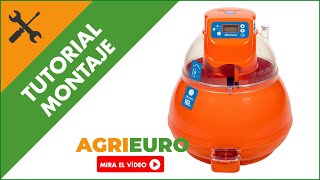 Montaje Incubadora de huevos semiautomática Novital Covatutto 16L pro [upl. by Monah974]