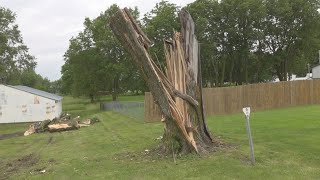 Storm winds rip down trees in Warren County Iowa [upl. by Norel126]