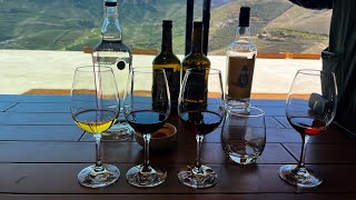 Quinta Do Seixo  Sandeman Winery’s Tasting [upl. by Judsen]