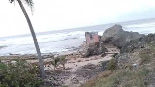 Bathsheba land amp sea Walk In St Joseph Barbados🏖🇧🇧2 [upl. by Maggee]