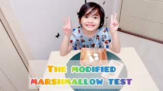 The Modified Marshmallow Test  A Test of Patience  Preschool Activity [upl. by Isolt]