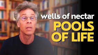 DAVID GORDON WHITE  Wells of Nectar Pools of Life [upl. by Fasano]