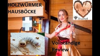 Mikrowellenanlage Shashel gegen HOLZWÜRMER HAUSBÖCKE Vollständige Review [upl. by Ymmas]