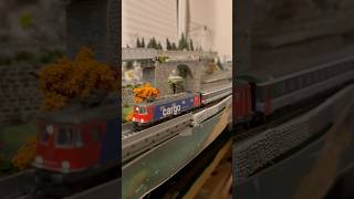 Towards Gotthard Tunnel rock modeltrains [upl. by Eninahs]