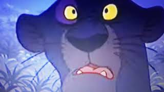 The Jungle Book 1967  Bagheera Talks With Baloo About Mowgli [upl. by Krik633]