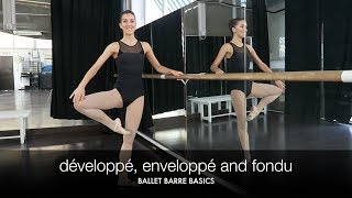 BALLET BARRE BASICS  développé enveloppé and fondu tutorial  natalie danza [upl. by Goran549]