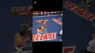 Donaire vs Montiel brutal win favouritesboxing [upl. by Astera]