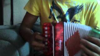 cumbia sampuesana acordeon de juguete [upl. by Hebe744]