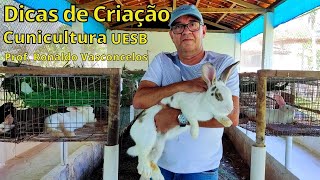 Dicas de Criação e manejo na Cunicultura [upl. by Notloc338]